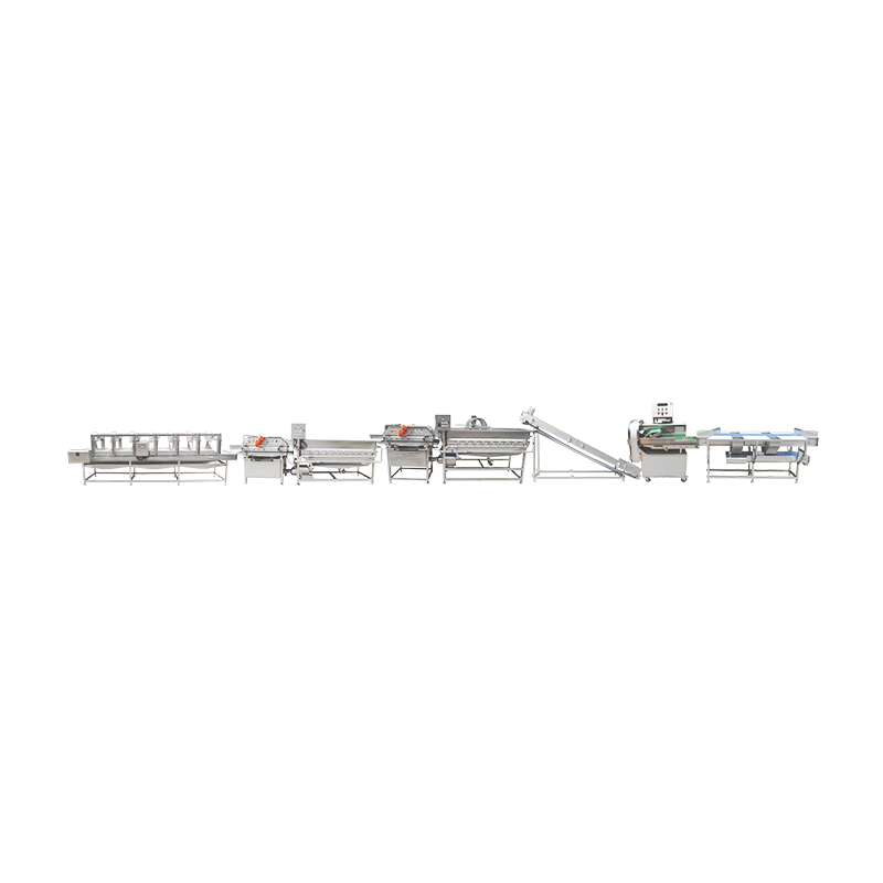 LC-01 Leafy vegetables cleaning and processing line